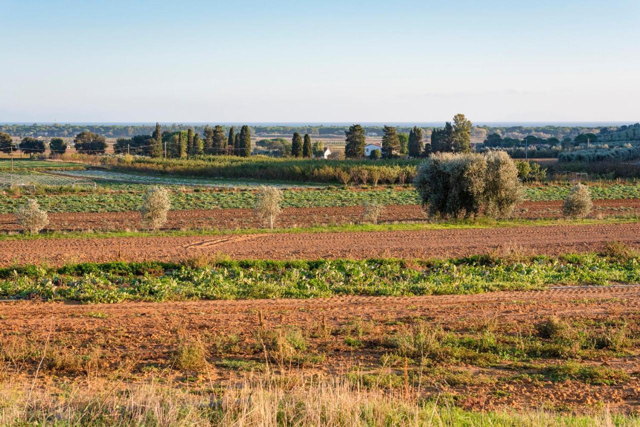 Agriturismo Terre Di Castiglione Castiglione della Pescaia Exterior foto